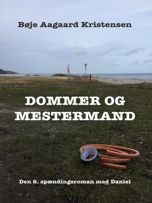 cover image of Dommer og mestermand